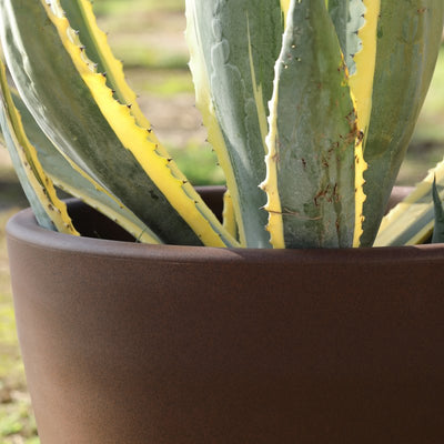 Vaso Ercolino cm 63