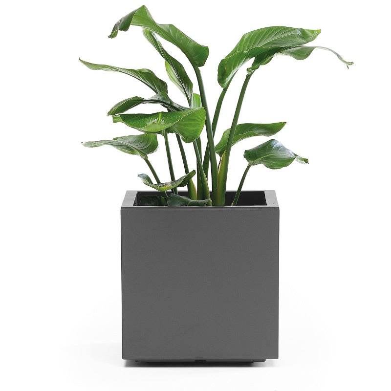 Vaso Quadro Kebe Greener doppia parete con rotelle cm 40
