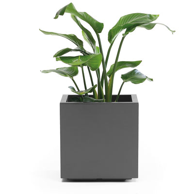 Vaso Quadro Kebe Greener doppia parete con rotelle cm 40