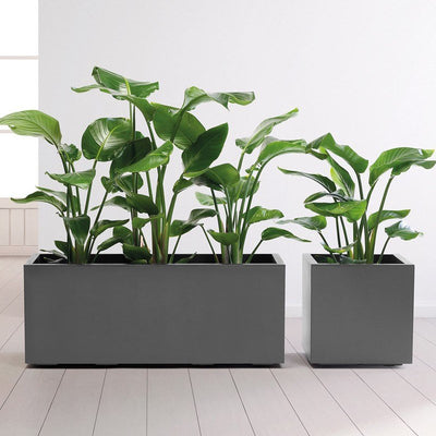 Vaso Quadro Kebe Greener doppia parete con rotelle cm 40