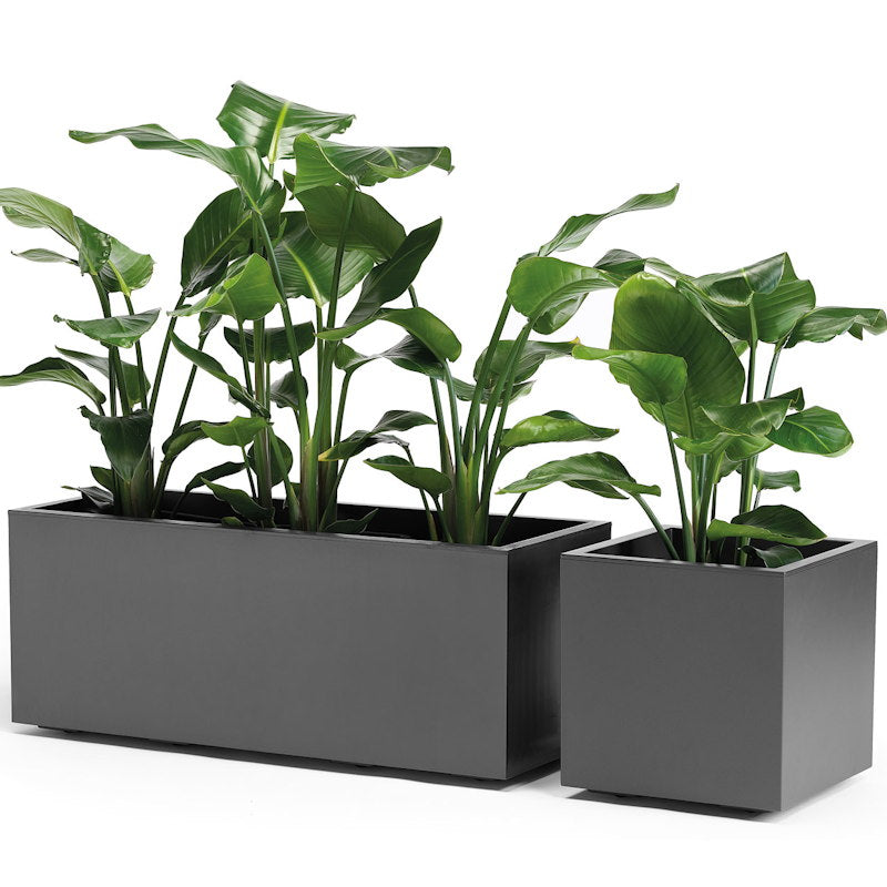 Vaso Quadro Kebe Greener doppia parete con rotelle cm 40