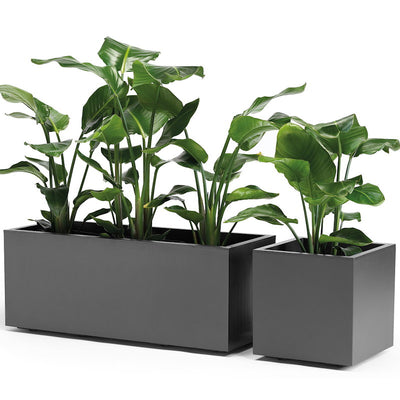 Vaso Quadro Kebe Greener doppia parete con rotelle cm 40