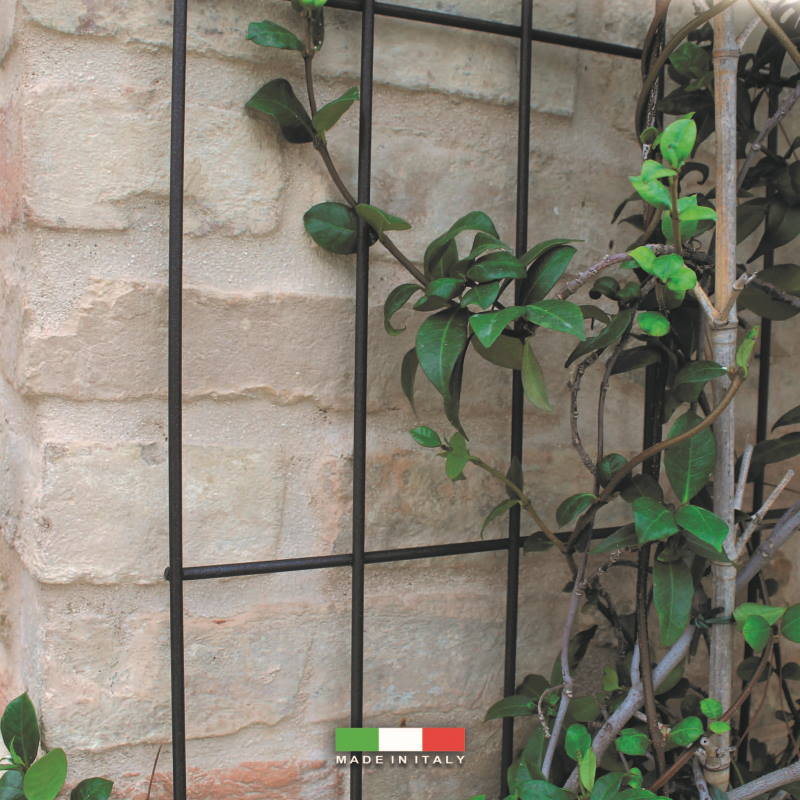 Traliccio Da Giardino Per Piante Rampicanti All'aperto, Telaio A Traliccio Per Piante In Vaso Supporto Per Piante Vegetali Per Fiori Vite Vegetale Interna Allaperto Traliccio Da Giardino Per Piante Rampicanti All'aperto, Telaio A Traliccio Per Piante In Vaso Supporto Per Piante Vegetali Per Fiori Vite Vegetale Interna Allaperto