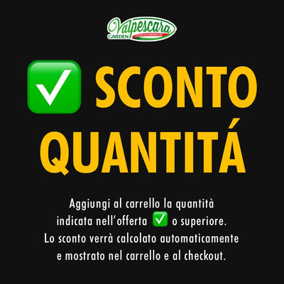 Vaso Quadro Kebe Greener doppia parete con rotelle cm 40