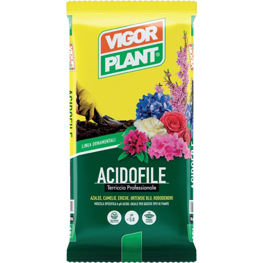 Westland Terriccio Per Piante Da Interno 8L - Con Argilla E Perlite, Nutre Per 6 Settimane, Sistema West+ - 2