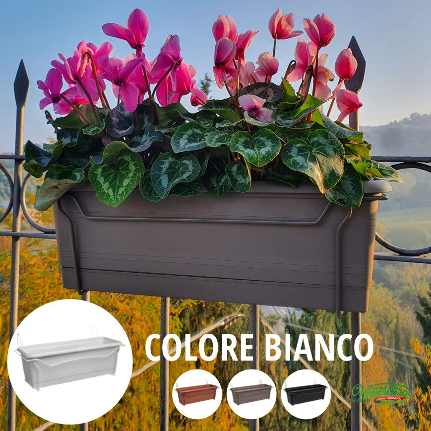 Balconiera Fissa + Cassetta cm 50 - vari colori