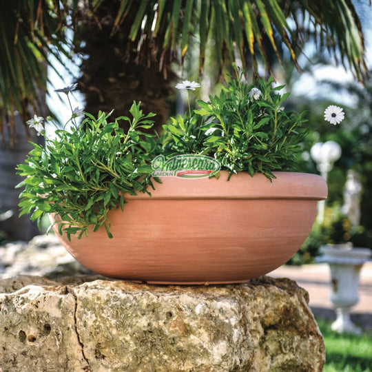 Ciotola per bonsai in ceramica - Italia