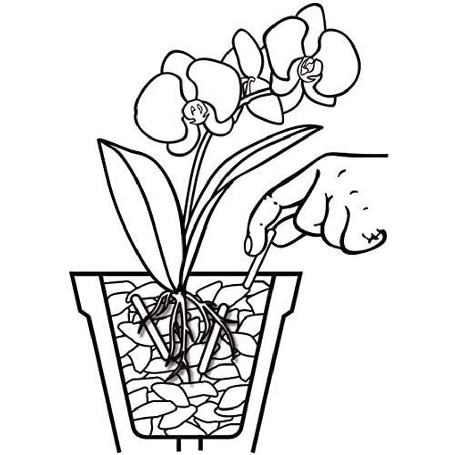 Concime in Bastoncini per Orchidee Compo applicazione