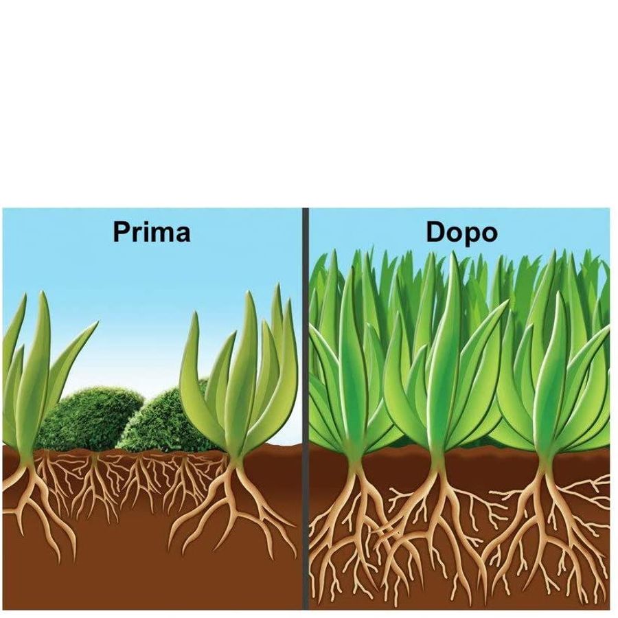 Concime granulare Compo Floranid Prato Antimuschio kg 1,5 prima e dopo