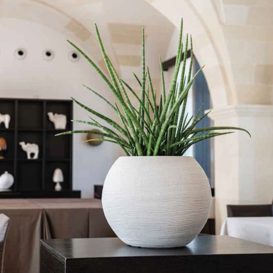 Sfera - Vaso per piante dal design circolare. Fioriera per interni ed